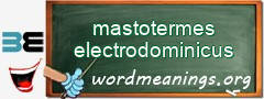 WordMeaning blackboard for mastotermes electrodominicus